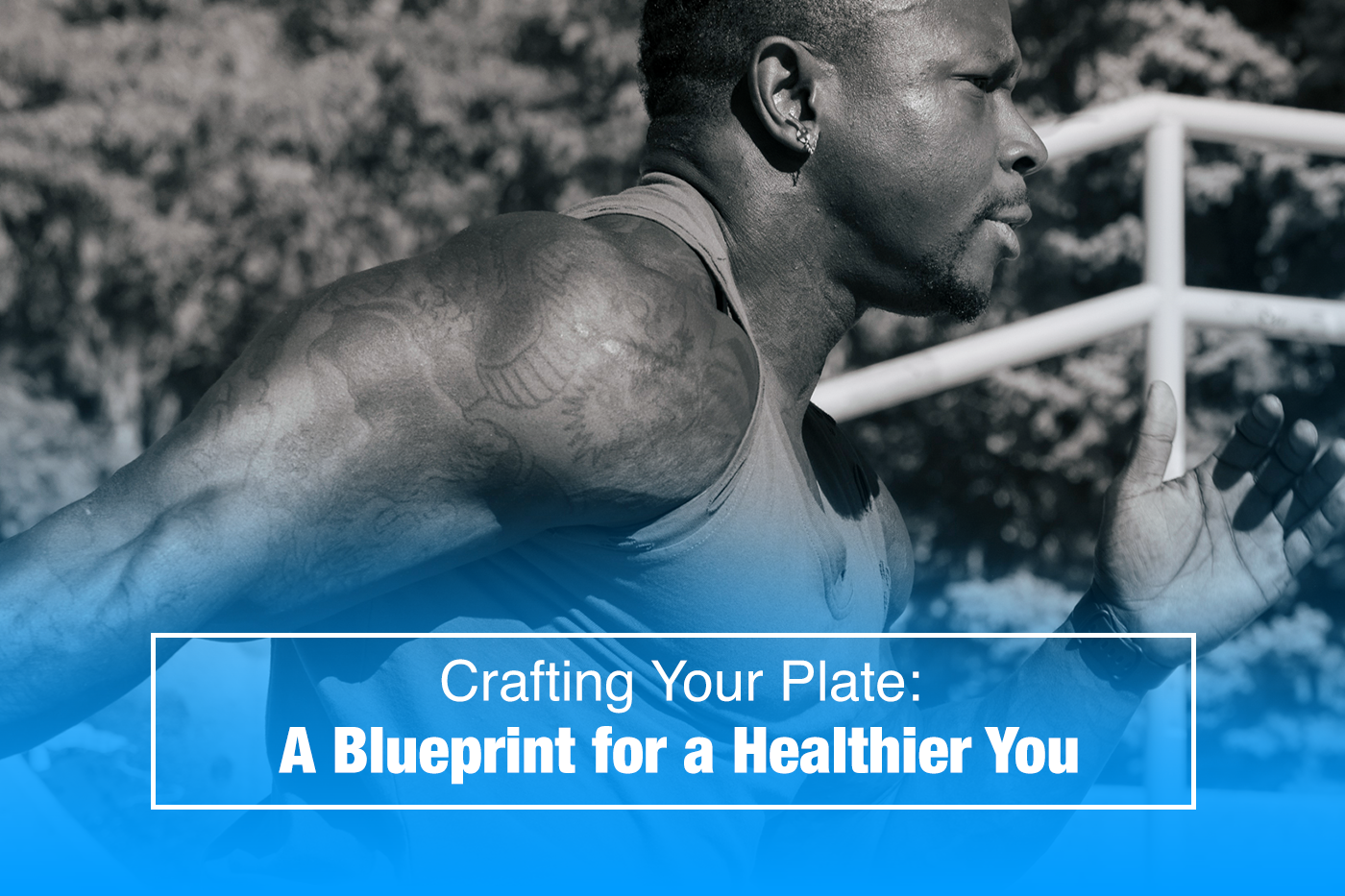 Crafting Your Plate: A Blueprint for a Healthier You