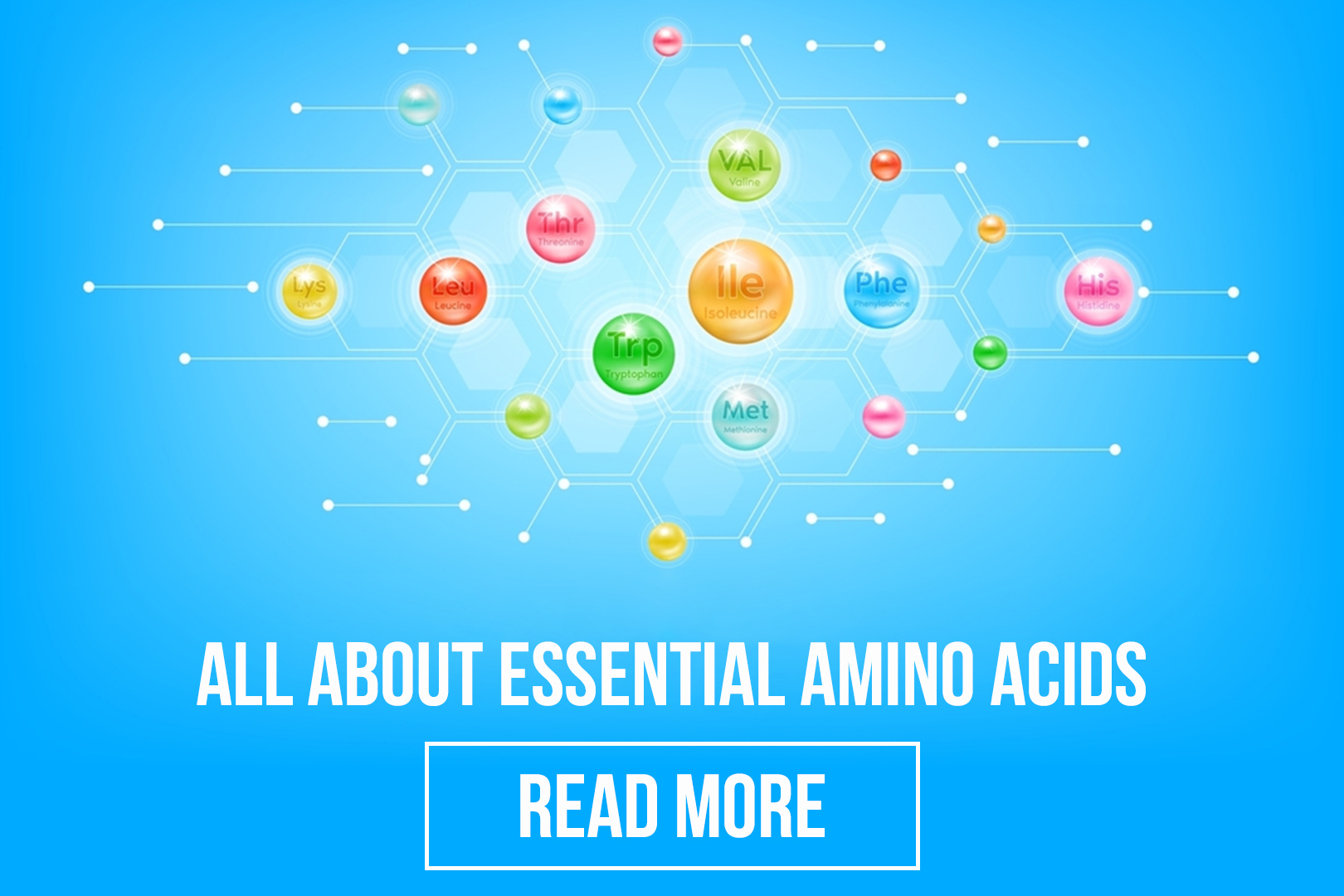 Essential Amino Acids ANSPerformance