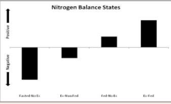 N-PRO: The Key to a Positive Nitrogen Balance – ANSPerformance