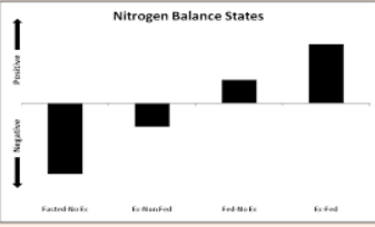 N-PRO: The Key to a Positive Nitrogen Balance
