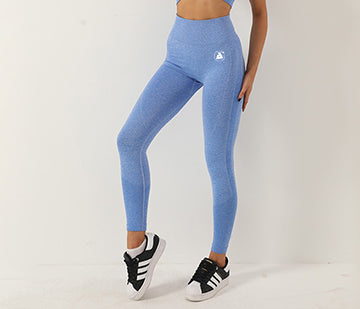 ANS Seamless Leggings - Blue