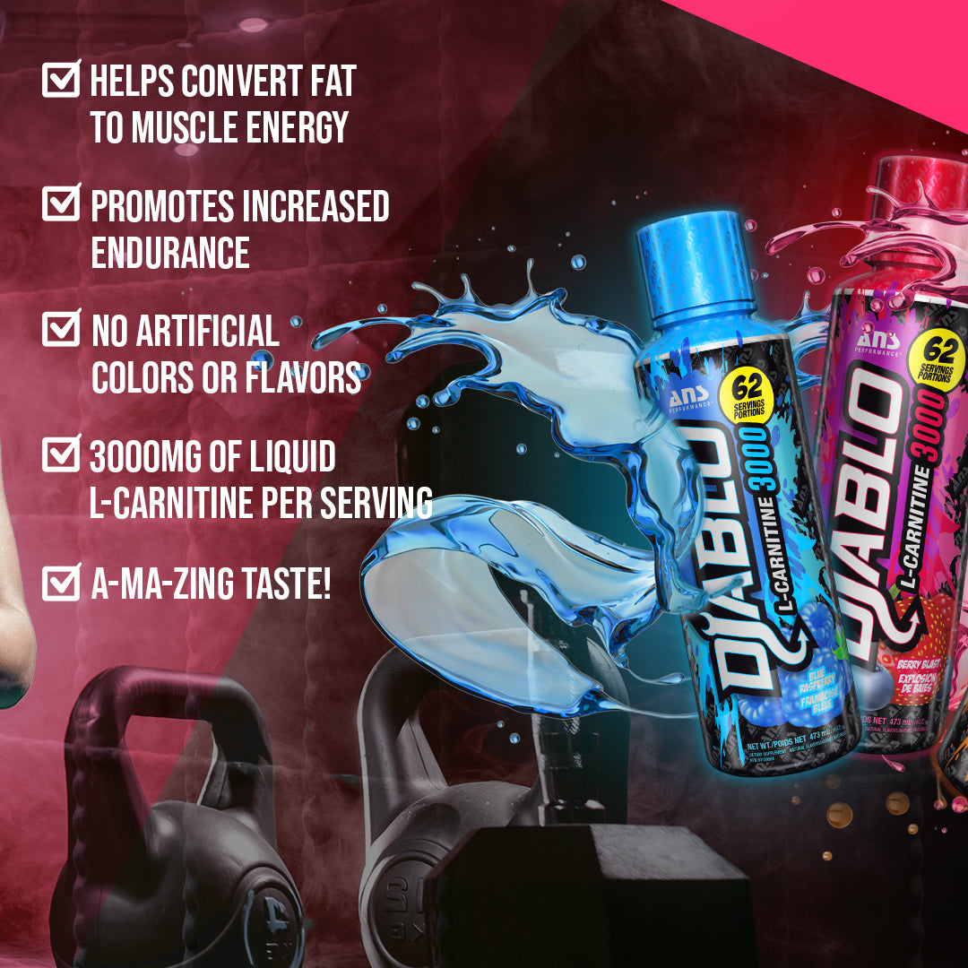 diablo l-carnitine 3000 DIABLO Carnitine 3000 – ANSPerformance diablo l-carnitine 3000 DIABLO Carnitine 3000 – ANSPerformance